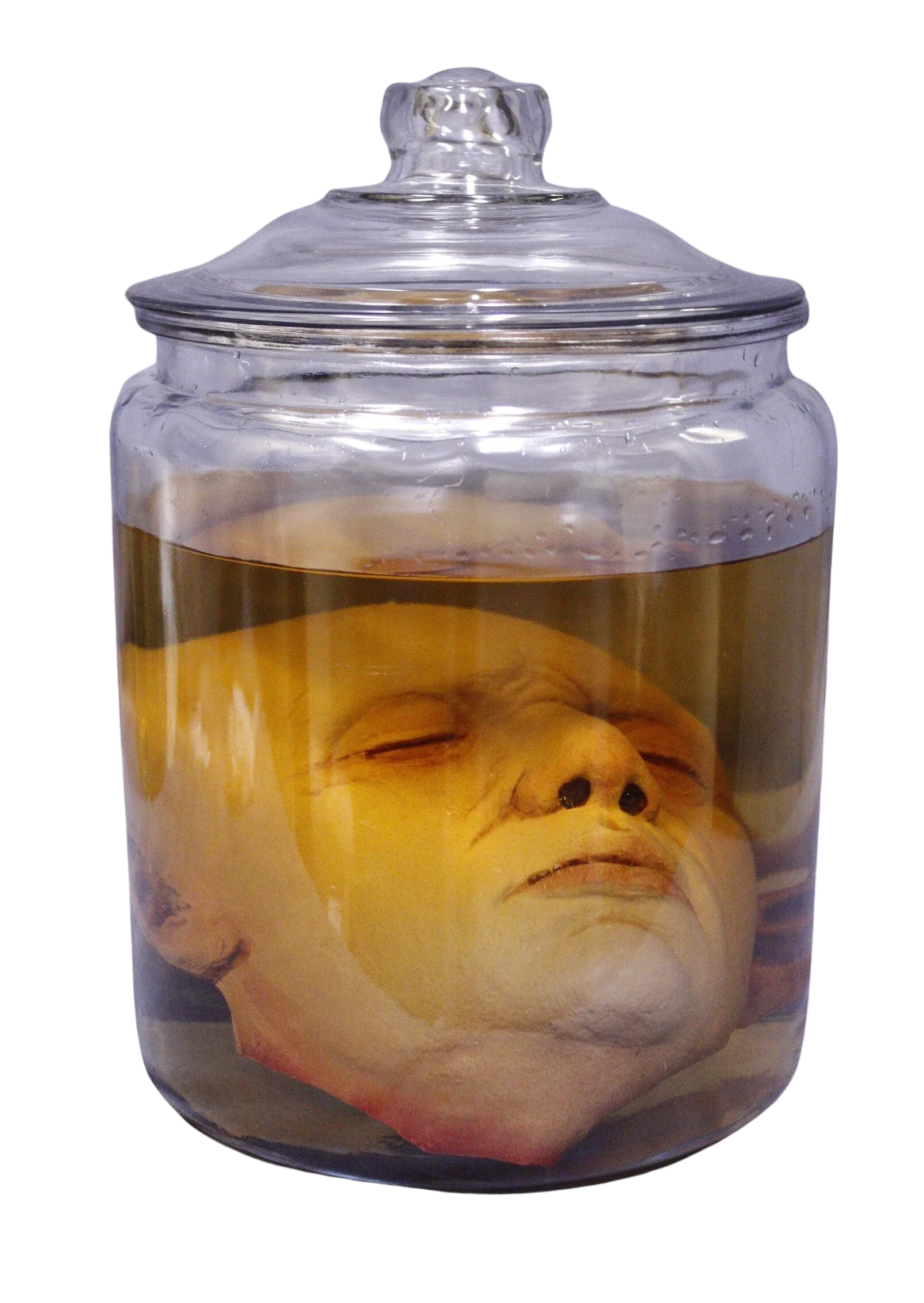 Ben Head in a Jar